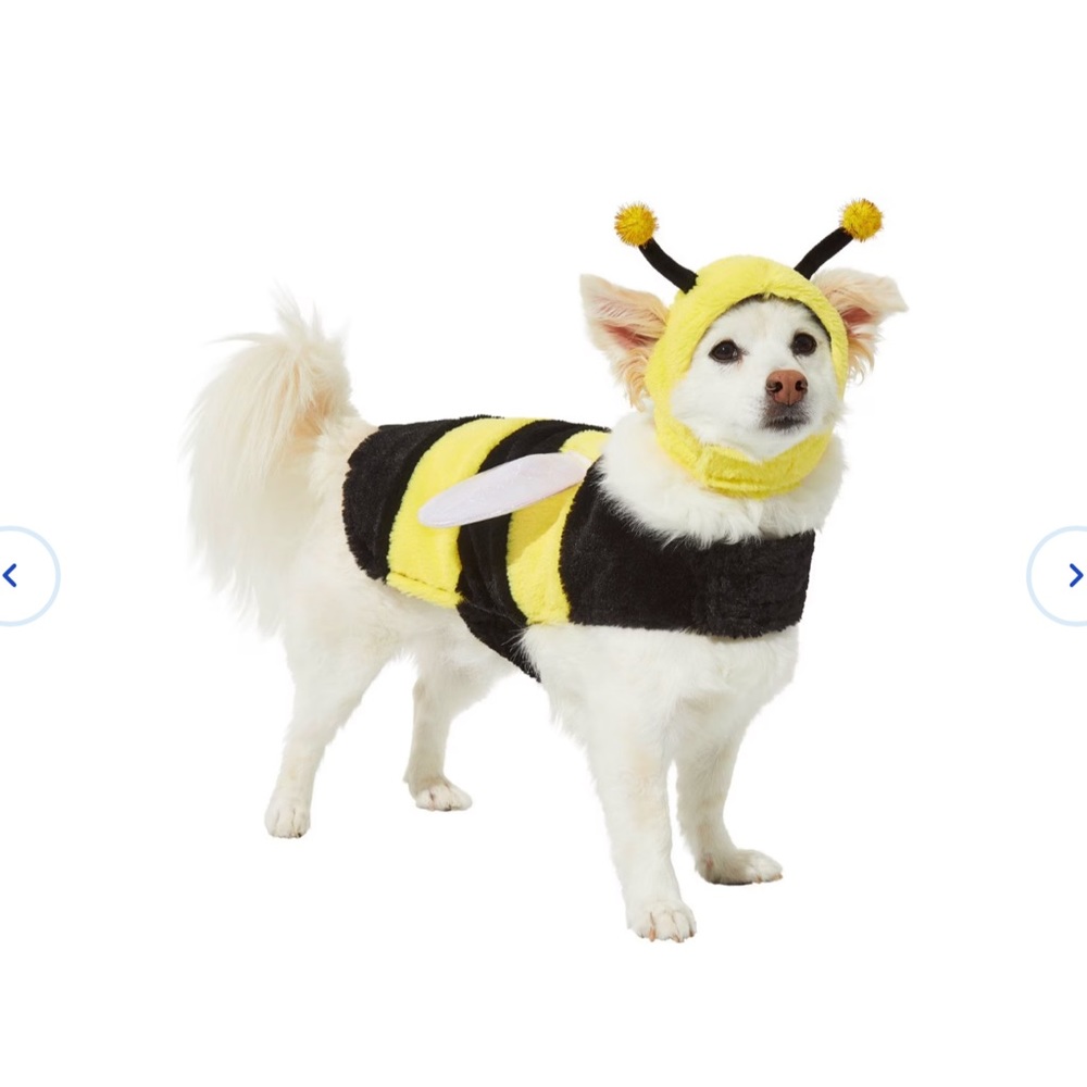 Frisco Bumblebee Pet Costume